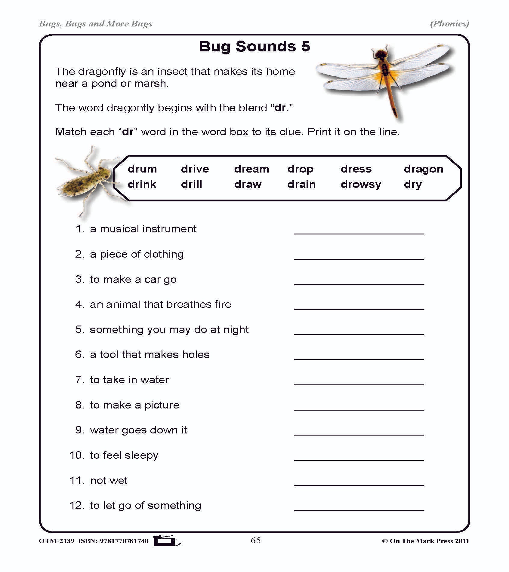 Bugs, Bugs & More Bugs Grades 2-3