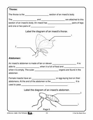 Amazing Insects Reading Worksheets and Cross - Curricular Activities Grades 4-6