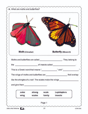 Butterflies and Moths Grades 3-4 - The similarities and differences activities and worksheets