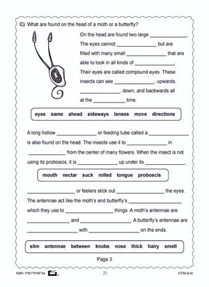 Butterflies and Moths Grades 3-4 - The similarities and differences activities and worksheets