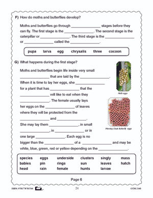 Butterflies and Moths Grades 3-4 - The similarities and differences activities and worksheets