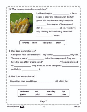 Butterflies and Moths Grades 3-4 - The similarities and differences activities and worksheets