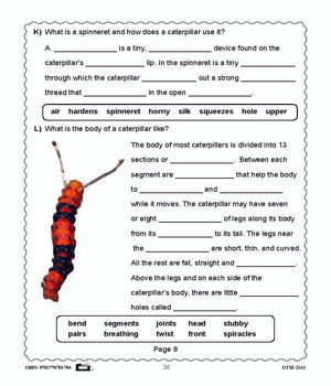 Butterflies and Moths Grades 3-4 - The similarities and differences activities and worksheets