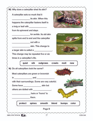 Butterflies and Moths Grades 3-4 - The similarities and differences activities and worksheets