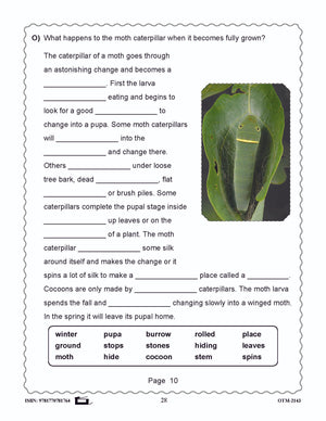 Butterflies and Moths Grades 3-4 - The similarities and differences activities and worksheets