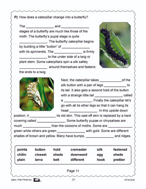 Butterflies and Moths Grades 3-4 - The similarities and differences activities and worksheets