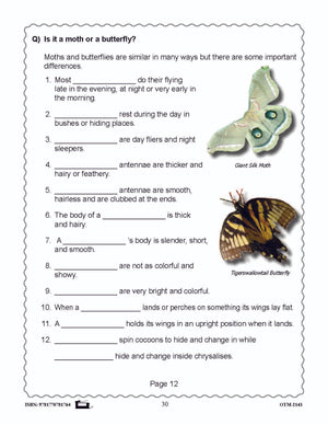 Butterflies and Moths Grades 3-4 - The similarities and differences activities and worksheets