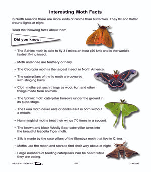 Butterflies and Moths Grades 3-4 - The similarities and differences activities and worksheets