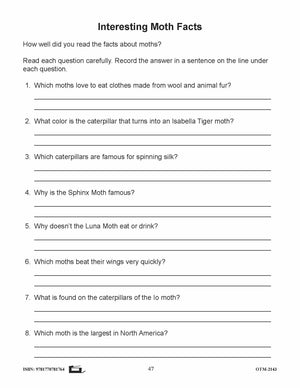 Butterflies and Moths Grades 3-4 - The similarities and differences activities and worksheets