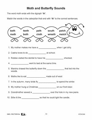 Butterflies and Moths Grades 3-4 - The similarities and differences activities and worksheets