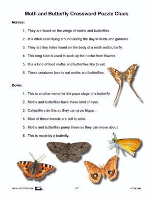 Butterflies and Moths Grades 3-4 - The similarities and differences activities and worksheets