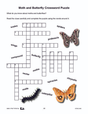 Butterflies and Moths Grades 3-4 - The similarities and differences activities and worksheets