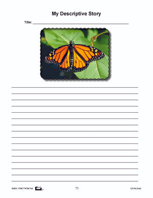 Butterflies and Moths Grades 3-4 - The similarities and differences activities and worksheets