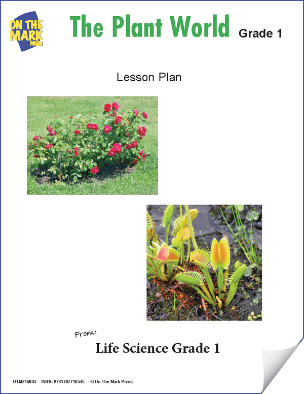 The Plant World Grade 1 Lesson Plan and Activities