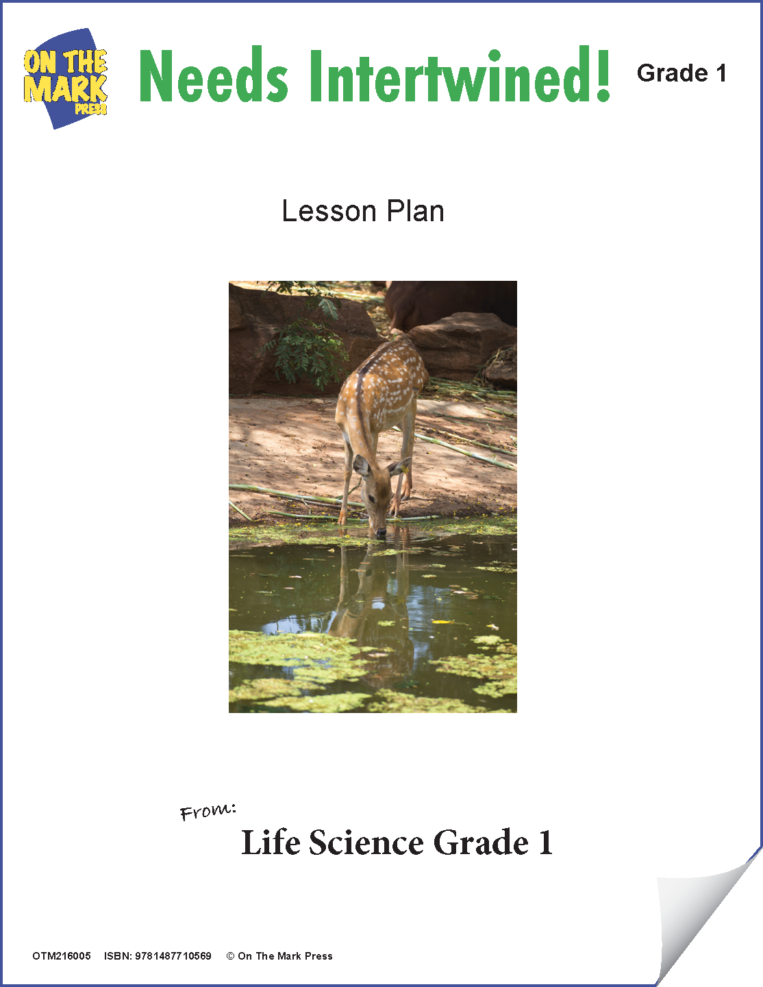 Needs Intertwined! e-Lesson Plan Grade 1