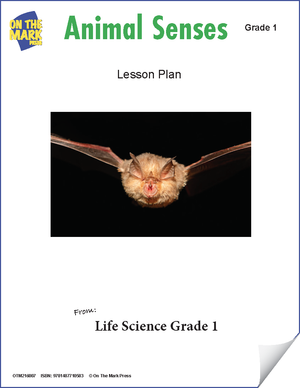 Animal Senses e-Lesson Plan Grade 1