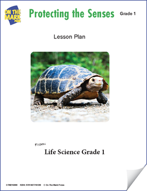 Protecting the Senses e-Lesson Plan Grade 1