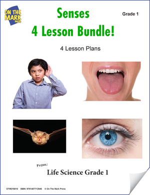 Senses - 4 Lesson Bundle Grade 1 (eLesson Plan)
