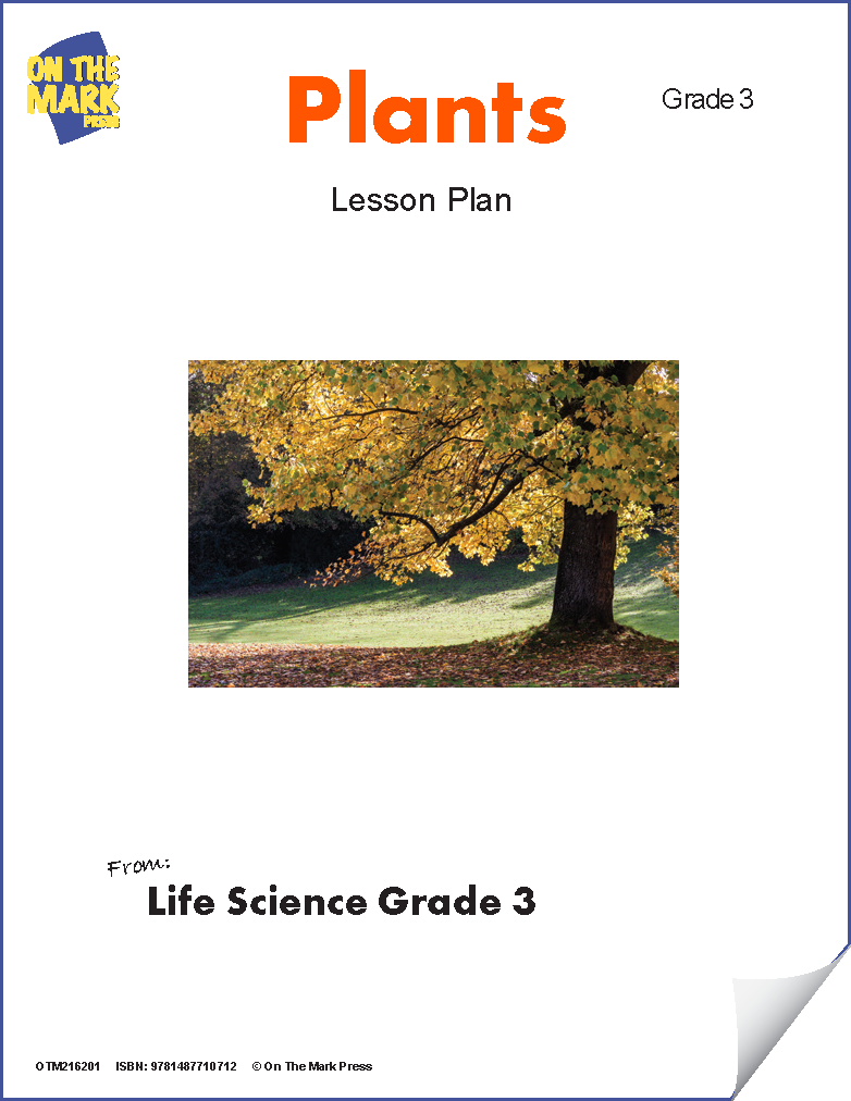Plants Lesson Plan Grade 3
