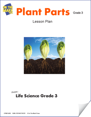 Plant Parts Grade 3 eLesson Plan