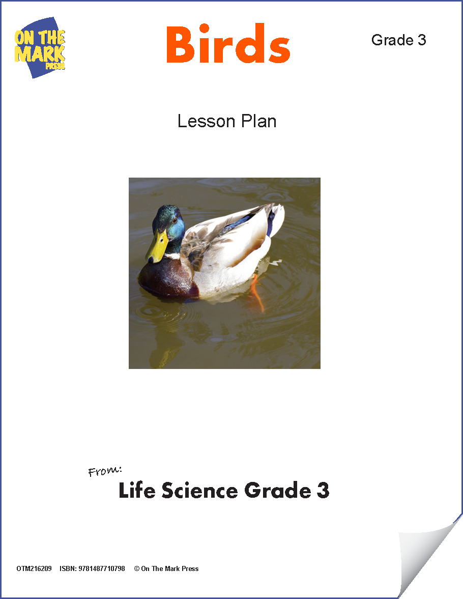 Birds Lesson Plan and Activities Grade 3