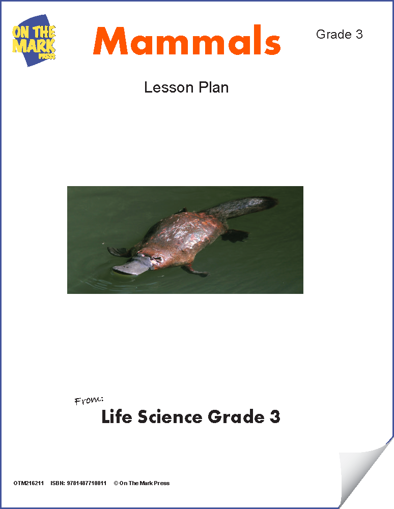 Mammals Lesson Plan Grade 3