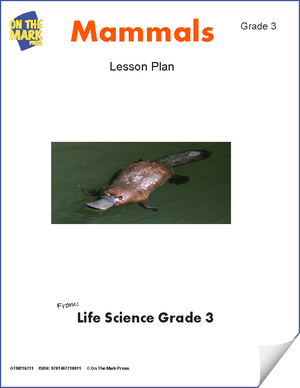 Mammals Lesson Plan Grade 3