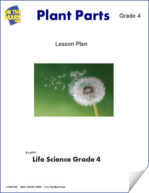 Plant Parts Grade 4 (eLesson Plan)