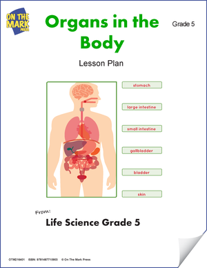 Organs in the Body e-Lesson Plan Grade 5