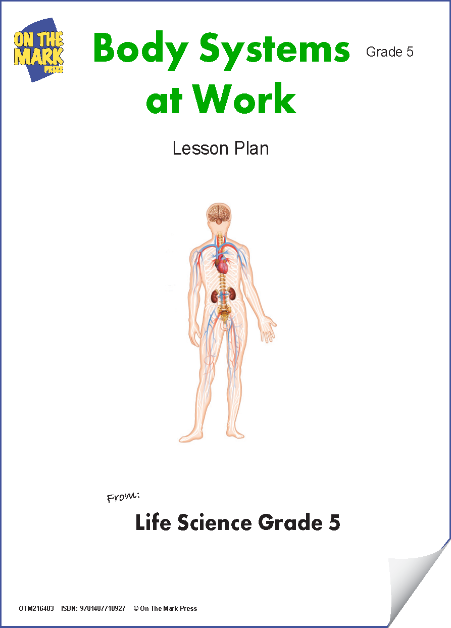 Body Systems Lesson & Worksheets e-Lesson Plan Grade 5