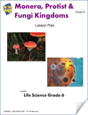Monera, Protist & Fungi Kingdoms e-Lesson Plan Grade 6