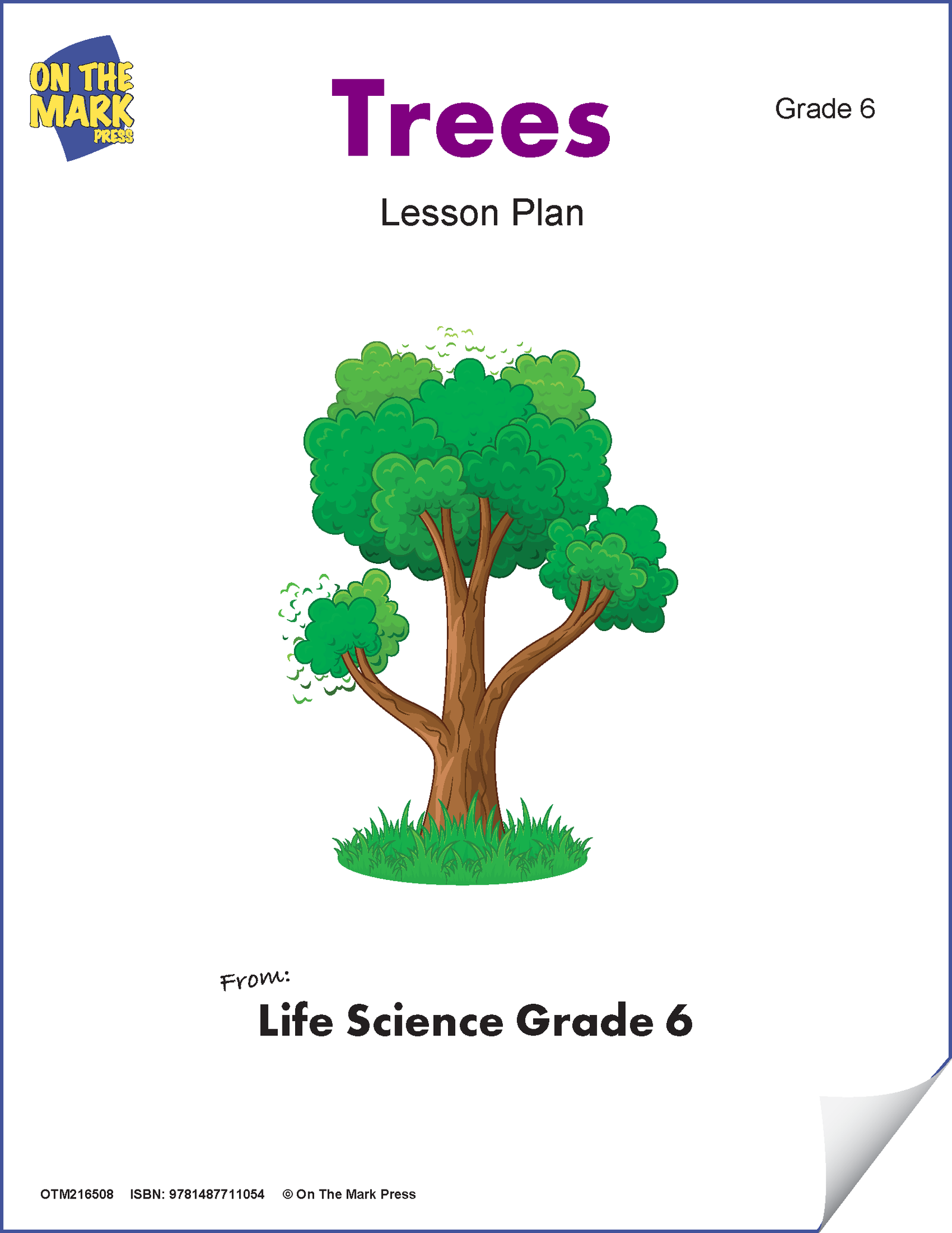 Trees e-Lesson Plan Grade 6