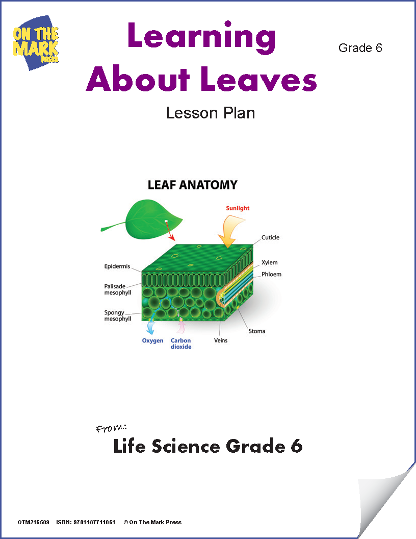 Learning About Leaves e-Lesson Plan Grade 6