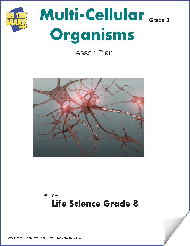Multi-Cellular Organisms Lesson Plan Grade 8