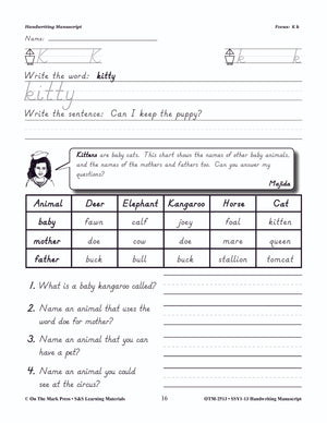 Modern Manuscript Handwriting Build Their Skills Workbook Grades 1-3