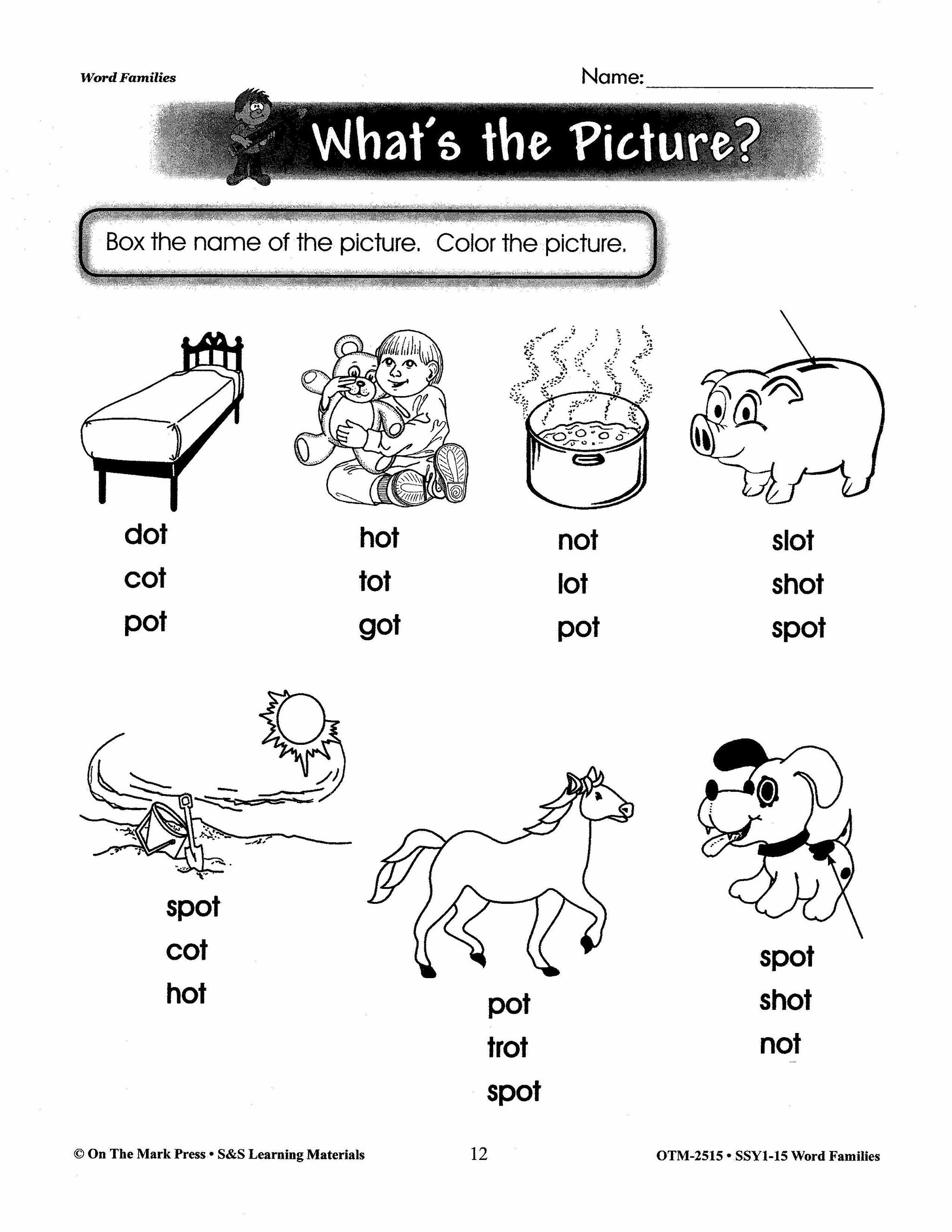 Word Families Practice Grades 1-3: Build Their Skills Workbook