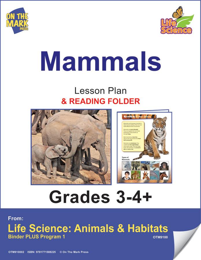 Mammals Activities & Fast Fact Folder Grades 3+