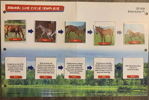 Life Cycle Photo Cards & Template Grades 3+