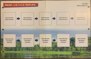 Life Cycle Photo Cards & Template Grades 3+