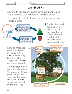 Ontario Grade 2 Science Curriculum Savings Bundle! - A Full Year of Lessons!