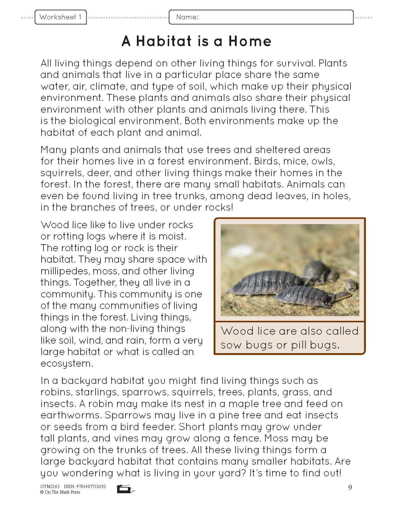 Ontario Grade 4 Science Curriculum Savings Bundle A Full Year Of Le Ontario grade 4 science curriculum savings bundle a full year of le