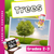 Trees Grades 2-3