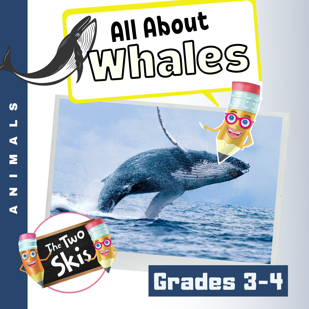 All About Whales Grades 3-4