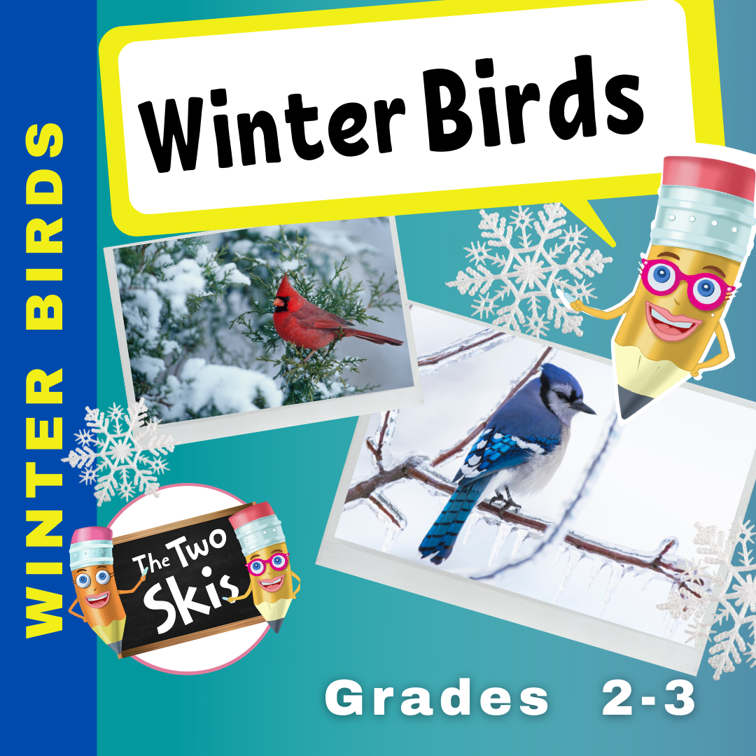 Winter Birds Grades 2-3