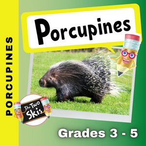 Porcupines Grades 3-5