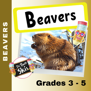 Beavers Grades 3-5
