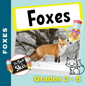 Foxes Grades 3-5