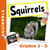 Squirrels Grades 3-5