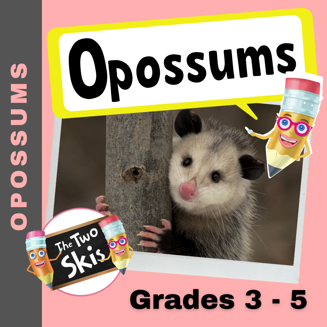 Opossums Grades 3-5