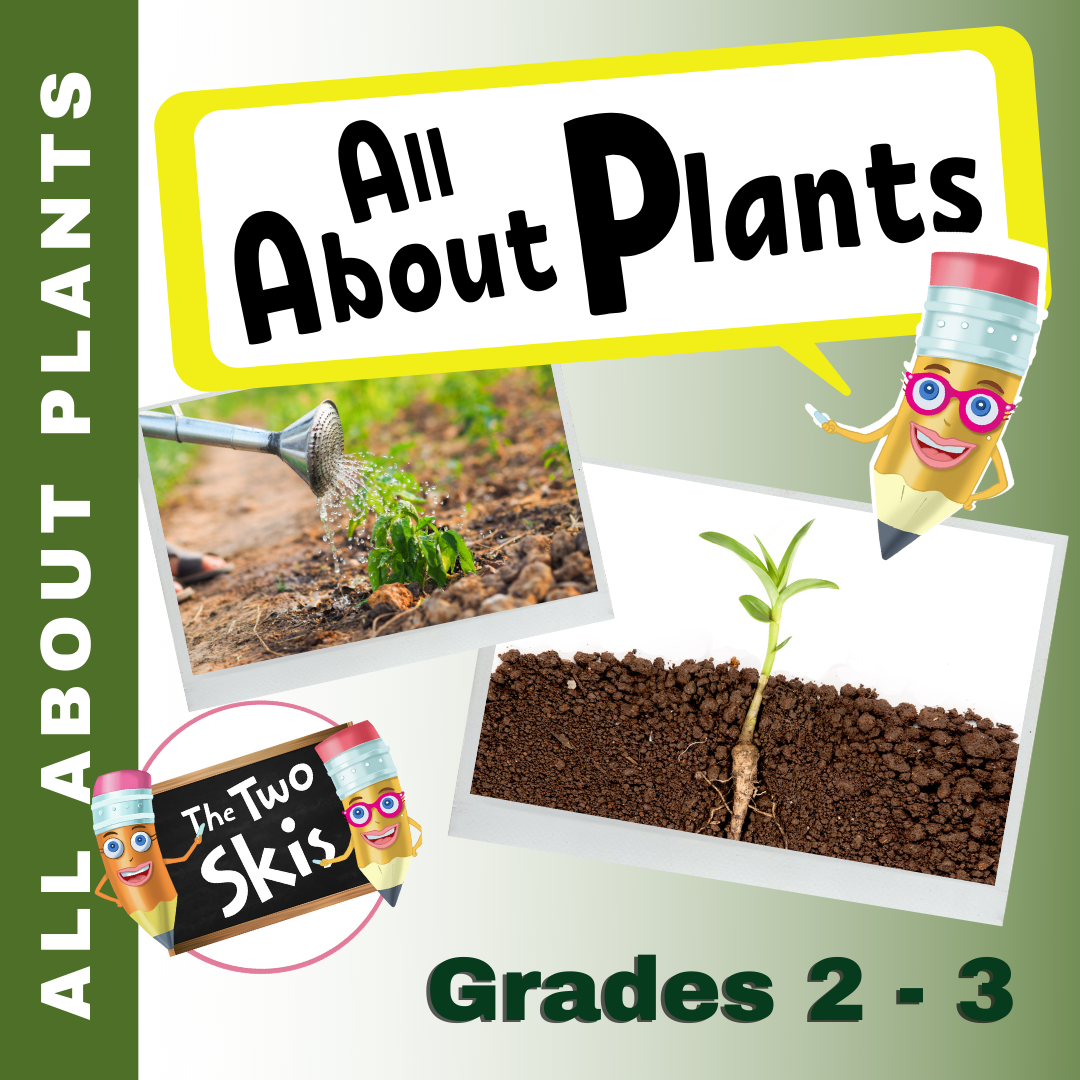 All About Plants Grades 2-3